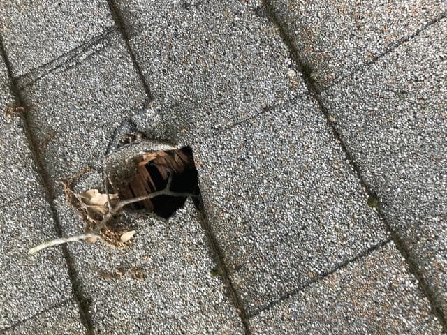 Structural Entry problem in Toronto homes