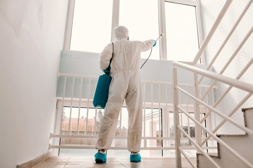 Pest Control Mississauga